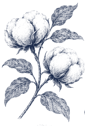 Cotton branch, engraved