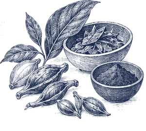 Plant dyes and leaves, engraved